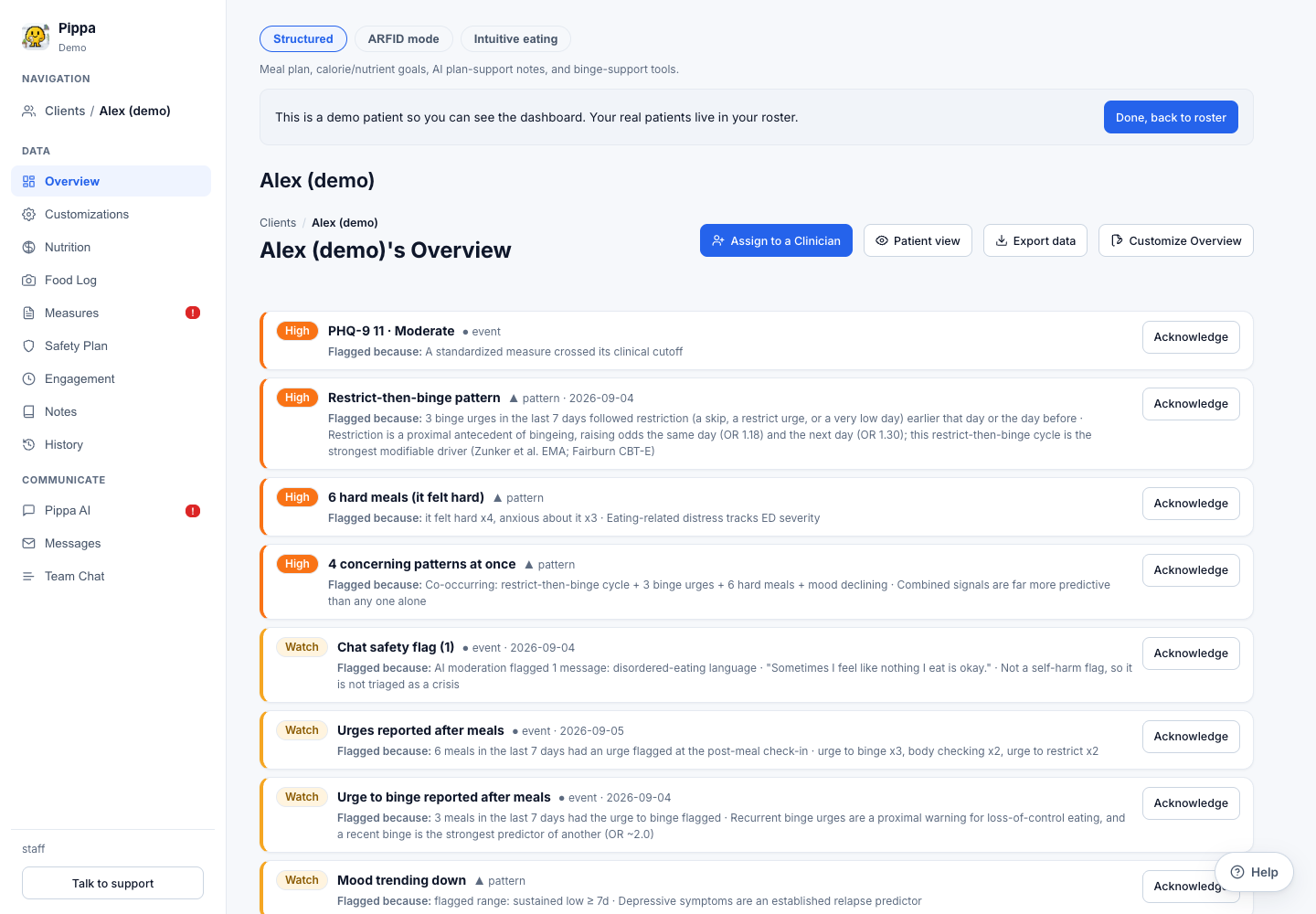 Current Pippa demo dashboard with patient navigation and overview concerns